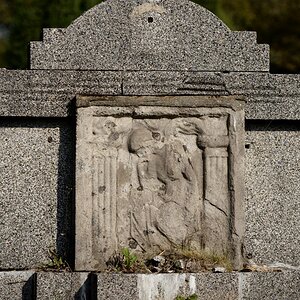 DSC_2584_00001n.jpg