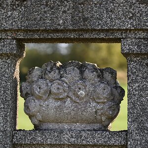 DSC_2591_00001n.jpg
