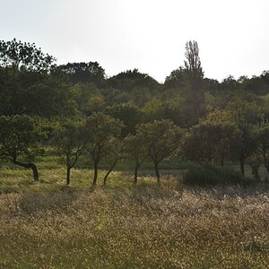 DSC_2611_00001n.jpg