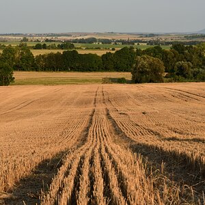 DSC_2634_00001n.jpg