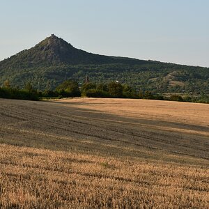 DSC_2635_00001n.jpg