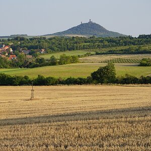 DSC02017kn.jpg