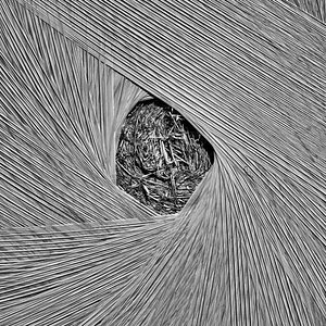 Sichtfenster BW_bearbeitet-1.jpg