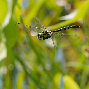 N9020573nikon.jpg