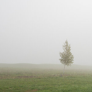 Nebel.jpg