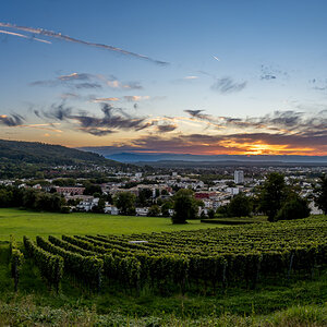 20240906-NZ7_0179-Pano.jpg