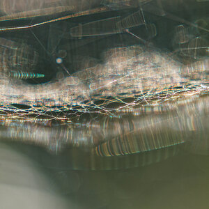 P9084734nikon.jpg