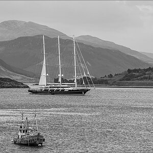 DSC_5913.jpg