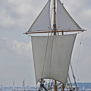 kiel_fulvia.jpg