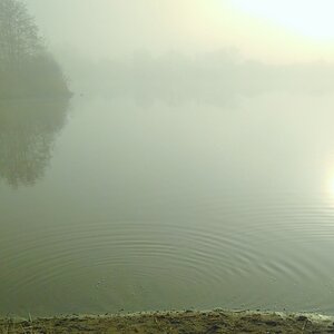 2019-02-17_09-06-19_FP2_1200.jpg