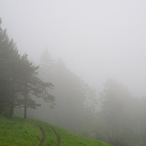 Nebel.jpg