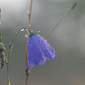 N9151333nikon.jpg