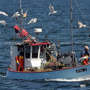 fischer_vor_strande_2.jpg