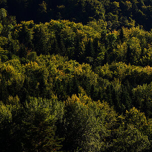Herbst_12.jpg