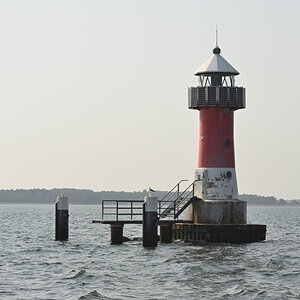 DSC_1711.JPG