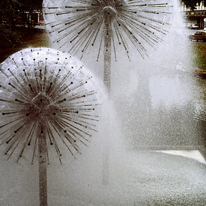 PICT1504.jpg