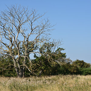 DSC_1860.JPG