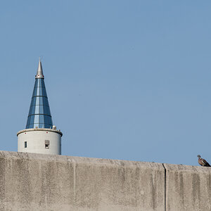 240917-019.jpg