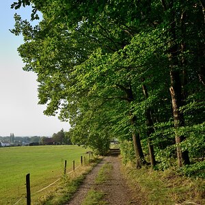 DSC_3303_00001n.jpg
