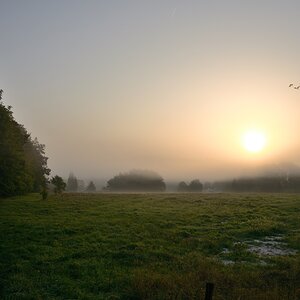 DSC_3326_00001n.jpg