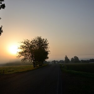 DSC_3328_00001n.jpg