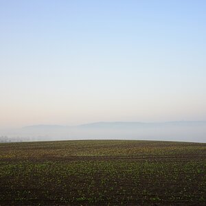 DSC_3332_00001n.jpg