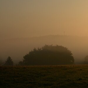 DSC_3335_00001n.jpg