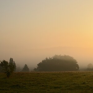 DSC_3336_00001n.jpg