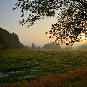 DSC_3337_00001n.jpg