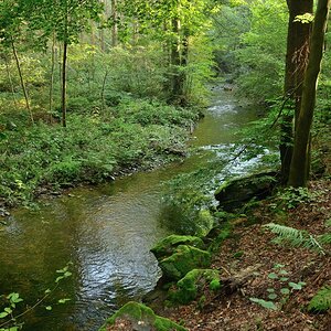 DSC_3352_00001_02n.jpg