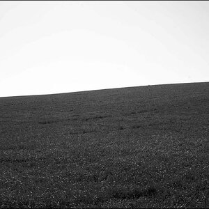 Grashügel_BW_2.jpg