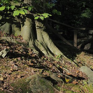 P9212200n.jpg