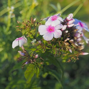 P9212231n.jpg