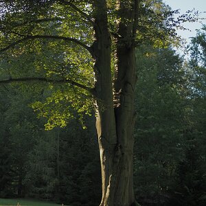 P9212257n.jpg