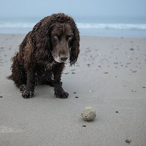 Balljunkie
