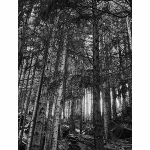 ErzDSC_9964.jpg