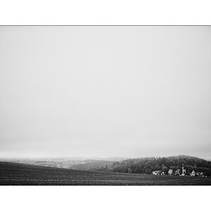 ErzDSC_9971.jpg