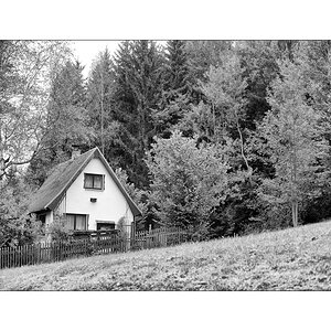 ErzDSC_9977.jpg
