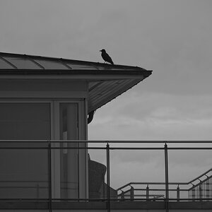 _Z507360_DxOPAxl.jpg