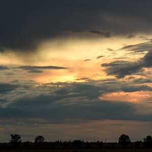 OF2_70270.jpg