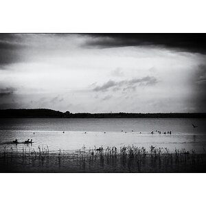 SeeIMG_2343.jpg