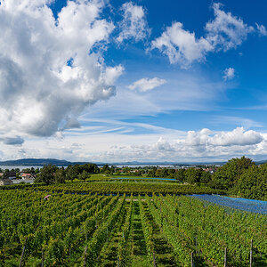 ZHG_2178-Bearbeitet.jpg