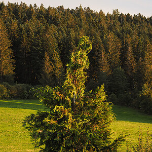 P9270001-Edit.jpg