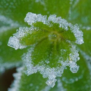 N9292476nikon.jpg
