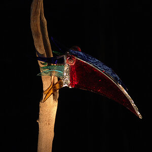 DSC02790-Kopie-2.jpg