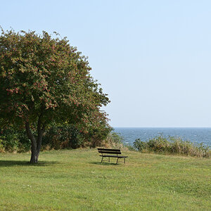DSC_1796.JPG