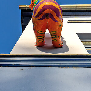 OF2_70302.jpg