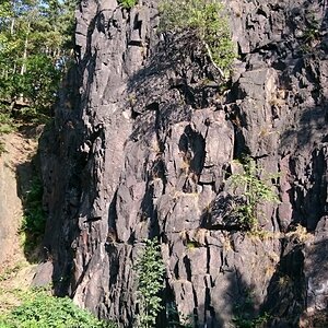 DSC_0768n.jpg