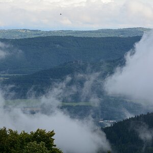 DSC_0894_00002n.jpg