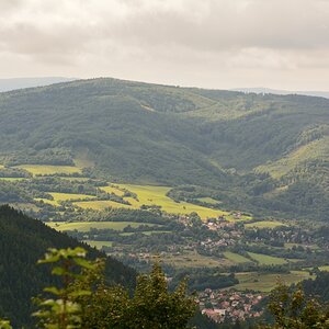 DSC_0918_00001n.jpg